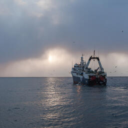 ​Госдума приняла в первом чтении проект изменений федерального закона о рыболовстве