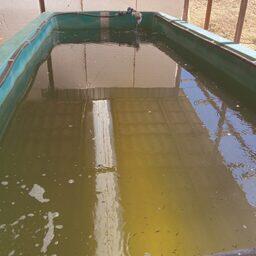 Исследования проводятся в Керченском отделе. Фото пресс-службы филиала