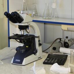 Научно-технический совет Россельхознадзора одобрил использование риск-ориентированного подхода при ветконтроле импортной продукции на границе