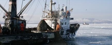 Подчас административный процесс внесения изменений в правила рыболовства не поспевает за реалиями производственной деятельности