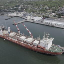 Почти 670 тонн свежемороженого краба выгрузили в морском порту Петропавловска-Камчатского. Фото пресс-службы «Антея»