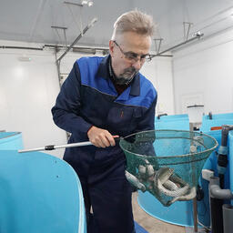 В Калининградской области за девять месяцев произвели 106 тонн товарной рыбы. Фото пресс-службы регионального правительства