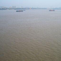 Пловцы в мутных водах Янцзы. Фото Vmenkov («Википедия»), CC BY-SA 3.0