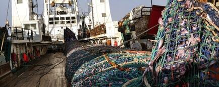 Рыбный промысел на Дальнем Востоке. Фото предоставлено компанией «Океанрыбфлот»