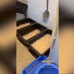 Полицейские изъяли из незаконного оборота морской гребешок на 6 млн рублей. Скриншот оперативной съемки