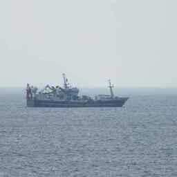 К середине марта отечественные предприятия добыли более 1,1 млн тонн рыбы и морепродуктов