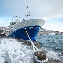 Предприятия Камчатки активно участвуют в инвестиционных проектах. Фото пресс-службы правительства региона