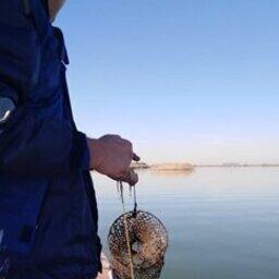 Исследования проводились в водохранилищах Ростовской области. Фото пресс-службы АзНИИРХ