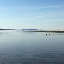 Лов осенней кеты на Амуре