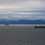 Нужен ли рыбной отрасли порог освоения квот?