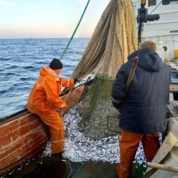 Килечный промысел в Каспийском море, фото пресс-службы КаспНИРХ