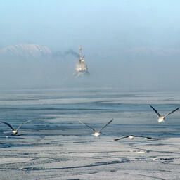 Зимний рыбный промысел на Сахалине