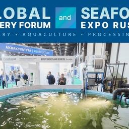 Выставка Seafood Expo Russia объединит на своей площадке представителей всех сфер аквакультуры из России и других стран. Фото пресс-службы ESG