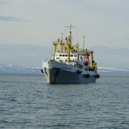 Росрыболовство готово к выдаче электронных разрешений на добычу, заявили в ведомстве