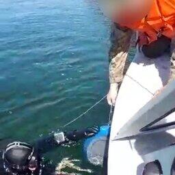 Бочки с незаконно добытым «морским огурцом» обнаружили на дне. Фото пресс-службы Дальневосточного морского заповедника