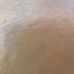 Пятна красной воды в бухте Раковая. Фото пресс-службы КамчатНИРО