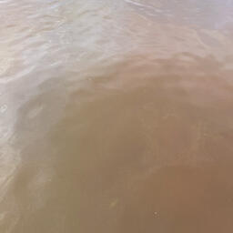 Пятна красной воды в бухте Раковая. Фото пресс-службы КамчатНИРО