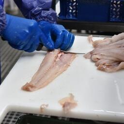 Выпуск рыбного филе за январь-февраль составил 65 тыс. тонн (+48,5%)