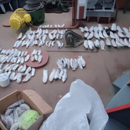 В морозильной камере обнаружили 192 экземпляра рыбы разных пород. Фото пресс-службы ГУ МВД по Красноярскому краю