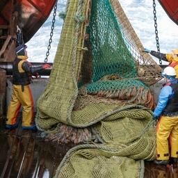 Рыбный промысел на Северном бассейне. Фото предоставлено АТФ