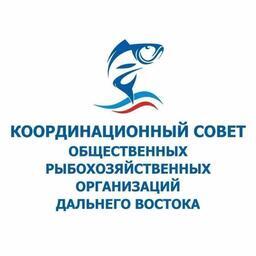 Развитие внутреннего рынка рыбопродукции обсудили на встрече председателя Рыбного союза Александра Панина с участниками Координационного совета рыбохозяйственных ассоциаций Дальнего Востока