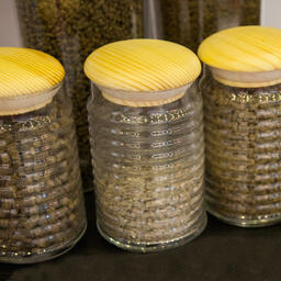 Производство экструдированного рыбного корма планируют наладить в Нижегородской области