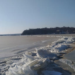 Специалисты ТИНРО собрали данные о рыбных запасах Ханки. Фото пресс-службы филиала
