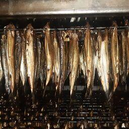 Балтийская килька служит сырьем для производства шпрот