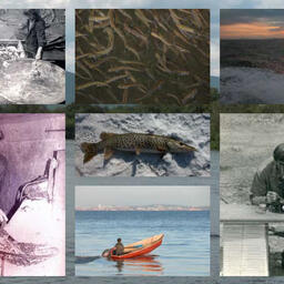 Приморрыбводу - 75 лет. Фото из буклета с сайта https://prrybvod.ru.