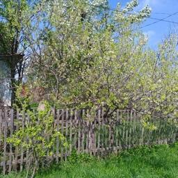 Весной и летом в Преображенке красиво