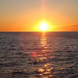 Комиссия Росрыболовства признала несостоявшимся аукцион по продаже долей квот вылова кальмара-иллекса и белого налима в Северо-Западной Атлантике