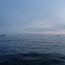 На помощь заболевшим рыбакам привлекут телемедицину