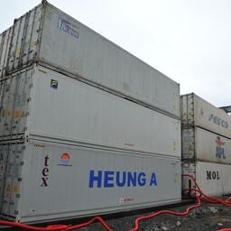 Для работы транспортного комплекса в условиях санкций вышел специальный закон