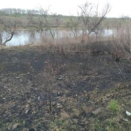 Часть мусора «прибирают» палы