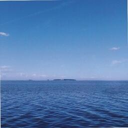 Страны «Большой двадцатки» обратили внимание на морскую экологию