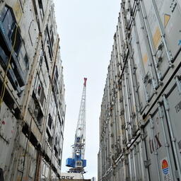 Для продукции АПК хотят создать национального внешнеторгового дистрибьютора