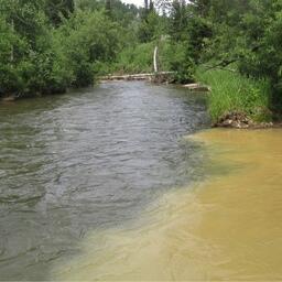 В Красноярском крае обследуют реки для анализа ущерба от деятельности золотопромышленных компаний. Фото пресс-службы краевого минэкологии