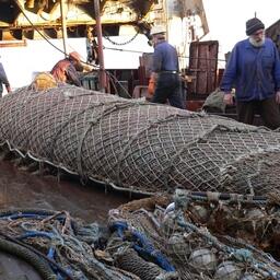 Минсельхоз предлагает облегчить внесение изменений в ОДУ в 2022 г/