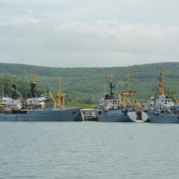 Принятие законопроекта грозит вымыванием малых и средних предприятий рыбной отрасли