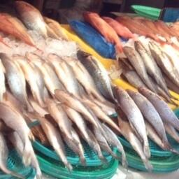 Большая рыбная распродажа в Южной Корее продлится до 19 октября
