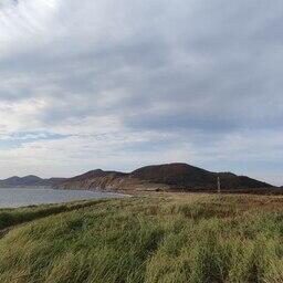 Браконьеров задержали в Поронайском районе. Фото пресс-службы Погрануправления ФСБ России по Сахалинской области
