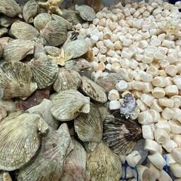 Проект постановления о принципах распределения между пользователями квот добычи моллюсков и прочих водных беспозвоночных в инвестиционных целях добавил беспокойства предприятиям