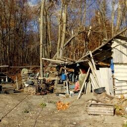 Выявленные постройки ликвидируются по решению суда. Фото пресс-службы Госкомитета Татарстана по биоресурсам