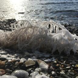 Причуды зимнего моря от Натальи Сычевой