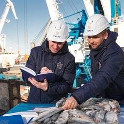 До погрузки специалисты компании тщательно проверяют каждый документ