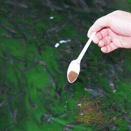 Специалисты ВНИРО работают над рецептурами рыбных кормов. Фото пресс-службы института