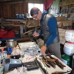 Работа в полевой лаборатории. Фото Вероники Ляминой