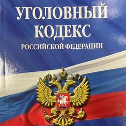 Мужчина и женщина обвиняются в совершении преступления, предусмотренного частью 3 статьи 258.1 УК РФ (незаконные хранение, приобретение и перевозка частей особо ценных водных биоресурсов, совершенные организованной группой)
