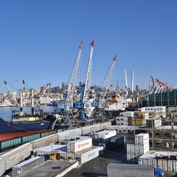 Контейнерные перевозки рыбы по железной дороге растут 