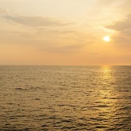 Сформирована делегация РФ для участия в межправительственной конференции по документу о сохранении и устойчивом использовании морского биоразнообразия в районах за пределами действия национальной юрисдикции. Фото предоставлено АТФ